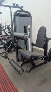 leg curl with exten.